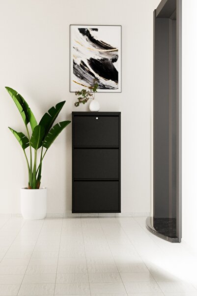 Evdemo Kilitli 3 Kapaklı Metal Ayakkabılık Siyah