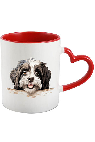 StoryGift Romania Cana Cu Un Catel Blanos | Ilustratie | Jucaus | Isi Asculta...