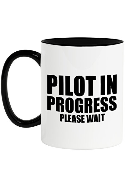 StoryGift Romania Cana Pentru Cei Care Vor Deveni Piloti - Avioane Zboruri Ce...