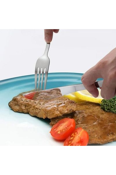 Generic 2-piece stainless steel knives