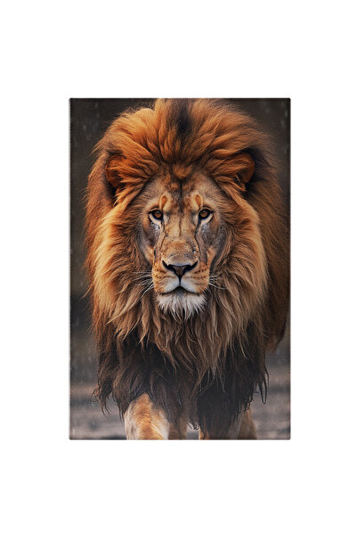 StoryGift Romania Tablou Canvas: Fotografie Cu Un Leu In Ploaie - Animal Salbatic Feroce Pictura Digitala