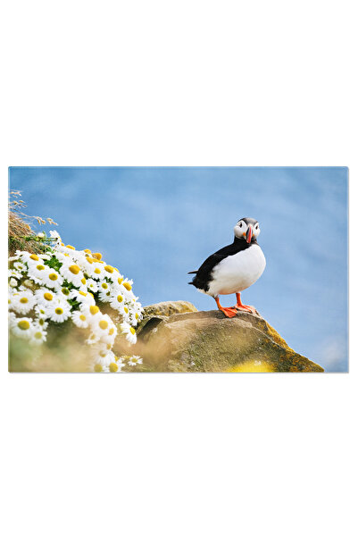 StoryGift Romania Tablou Canvas Privire Langa Fiordurile Islandei, Peisaj, Ma...