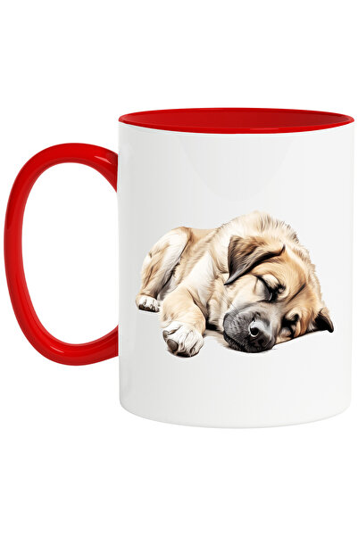 StoryGift Romania Cana Cu Un Caine Care Doarme Lat | Ilustratie | Oboseala | ...