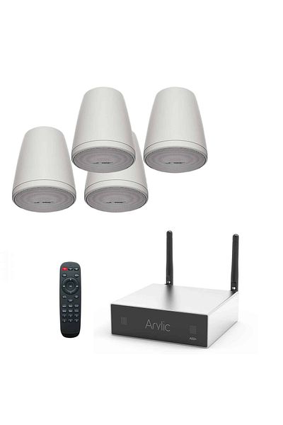 Bose Bose FreeSpace FS2P Suspended Speaker System with Arylic A30+ Wi-Fi Amplifier
