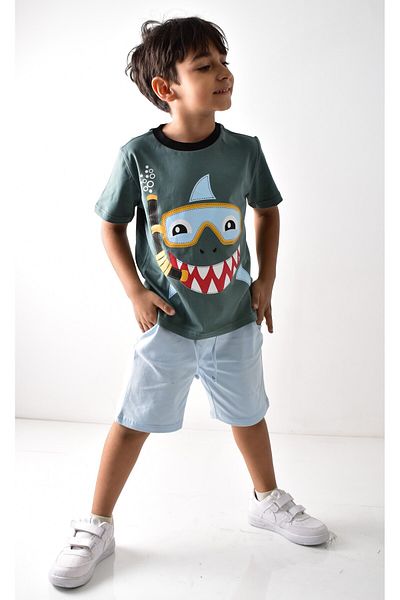 Banadamoda Boy's Printed T-shirt Shorts Set