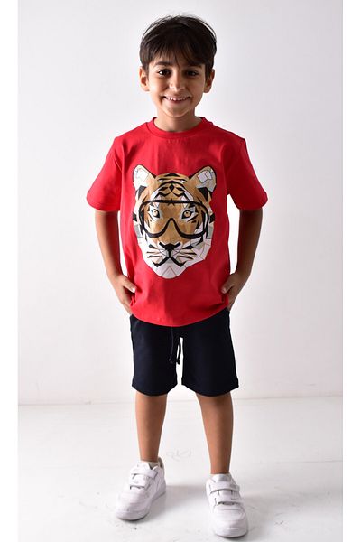 Banadamoda Boy's Printed T-shirt Shorts Set