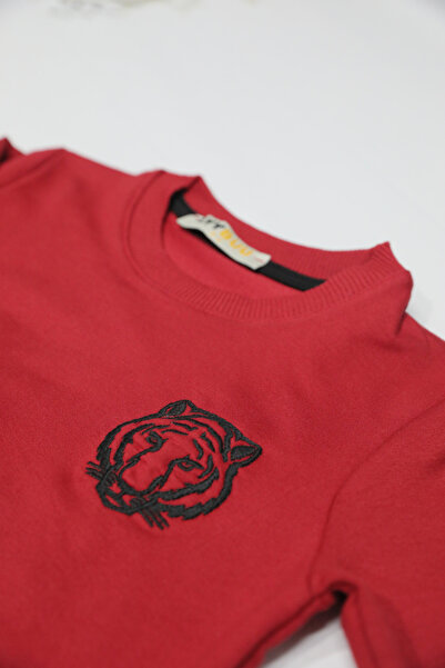 AYYBUU Unisex Kids Tracksuit Set Tiger Model Tiger Embroidered 3 - 10 Years