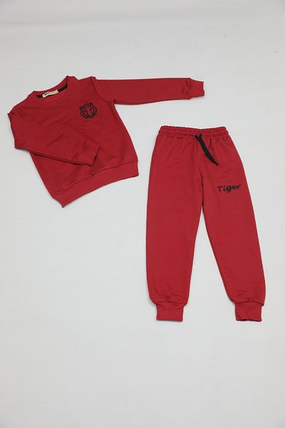 AYYBUU Unisex Kids Tracksuit Set Tiger Model Tiger Embroidered 3 - 10 Years