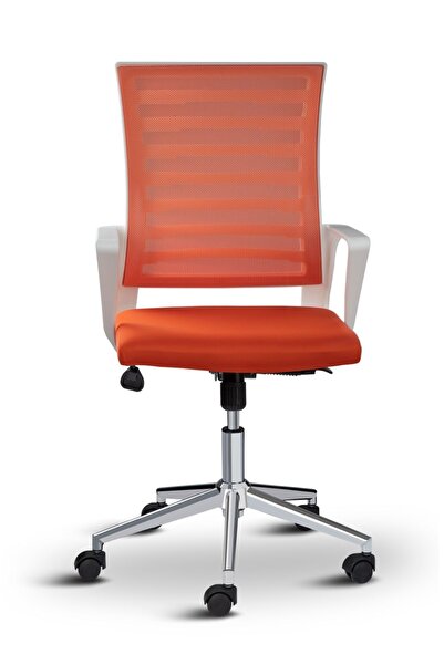 Asbir Mobilya Ceo Fileli Başlıklı Çalışma Koltuğu Beyaz İskeletli Ofis Sandalyesi