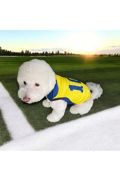 PuluPulu 🐱 🐈   Name Writable Cat and Dog Fan Jersey