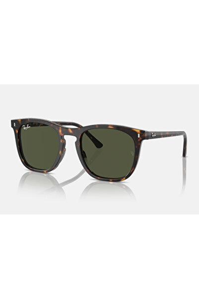 Ray-Ban Rayban Güneş Gözlüğü 0RB2210 902/31 53 G