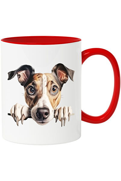 StoryGift Romania Cana Cu Un Catel Surprins | Ilustratie | Gheare | Labute | ...