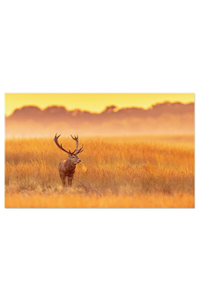 StoryGift Romania Tablou Canvas Cerb In Heathland - Stagiu De Toamna Intr-un Mediu Uimitor