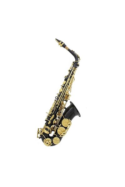 Parrot Alto saxophone, Parrot 6430BN, E flat, Black, gold keys