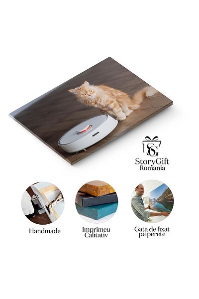 StoryGift Romania Tablou Canvas - Tehnologia Aspiratoarelor Robotice: O Casa Curata