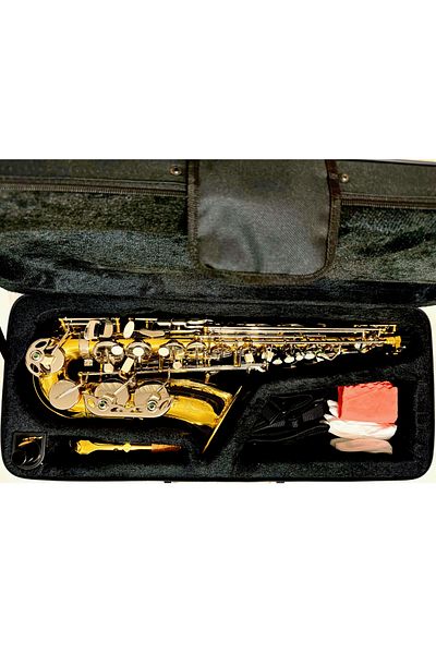 Parrot Alto saxophone, Parrot 6430A, E flat, Gold, silver keys