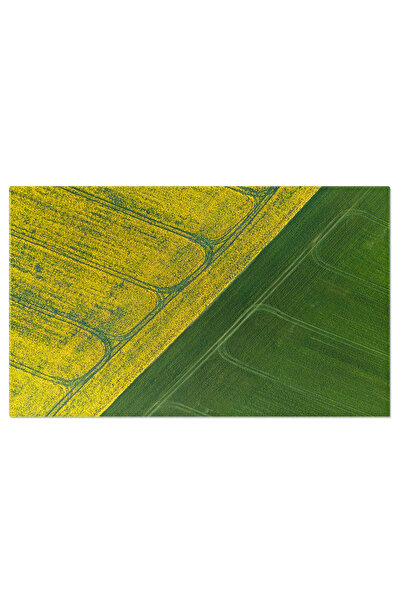 StoryGift Romania Tablou Canvas Frumusete Si Culori In Campurile De Rapita