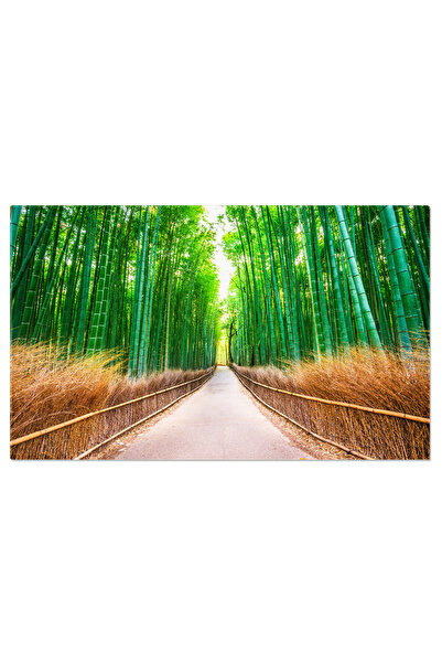 StoryGift Romania Tablou Canvas: Peisaj Natural Cu Calatorie Prin Padure Si C...