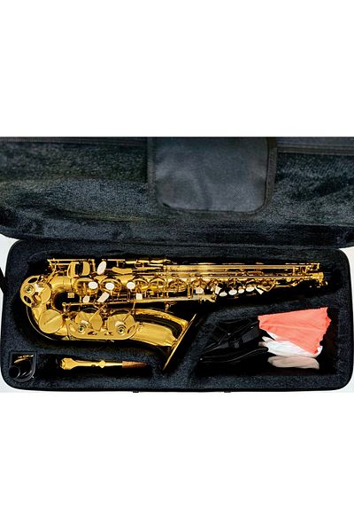 Parrot Alto saxophone, Parrot 6430L, E flat, Gold