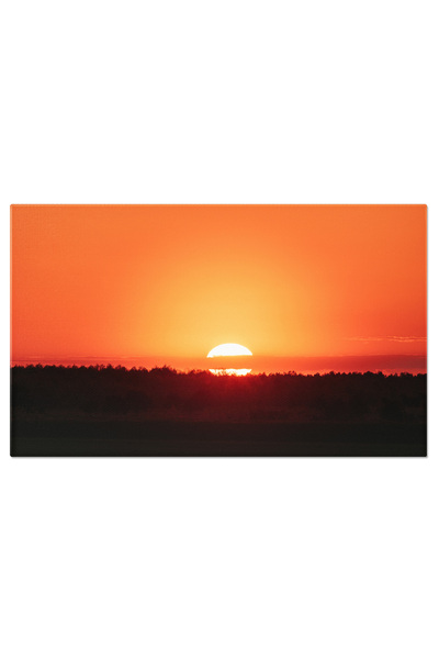 StoryGift Romania Tablou Canvas - Natura La Rasarit, Silueta Arborilor, Lumina Si Culoare