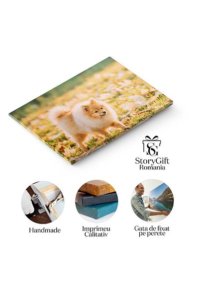 StoryGift Romania Tablou Canvas Catelus Tanar Pomeranian Amuzant Pui Jucausi Amuzant, Pui, Pomeranian, Jucausi. 2