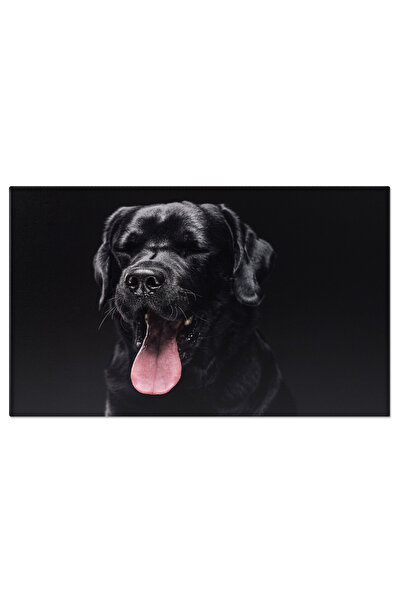 StoryGift Romania Tablou Canvas - Labrador Puppy Stralucitor, Obedienta Si Nuante Silky