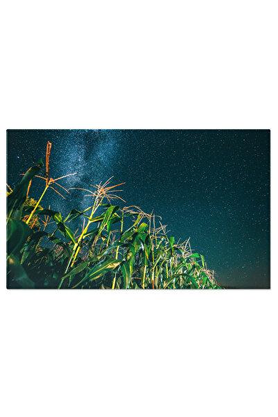 StoryGift Romania Tablou Canvas Vedere De Jos A Cerului Instelat Cu Calea Lac...