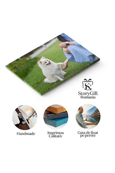 StoryGift Romania Canvas Print Pomeranian Dog Giving Hand In Park Woman, Food, Pet, Training, Love