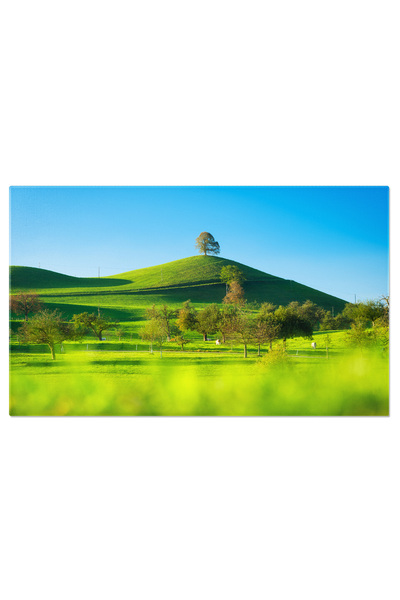 StoryGift Romania Tablou Canvas Arbore Pe Varful Dealului, Peisaj, Vara, Iarb...