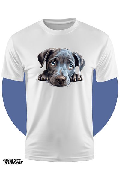 StoryGift Romania Tricou Copii cu un catelus timid, ilustratie, cenusiu, ochi putin tristi, pentru iubitorii