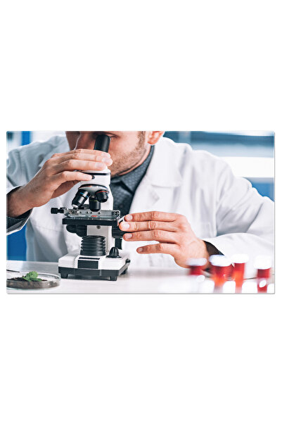 StoryGift Romania Tablou Canvas, Cercetator In Laborator, Stiinta, Microscop, Cercetare, Profesionalism