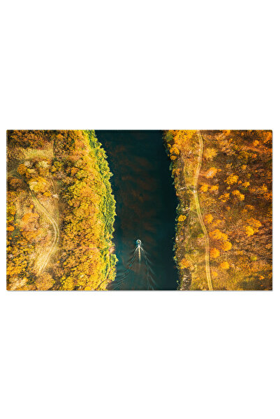 StoryGift Romania Tablou Canvas Vedere Aeriana A Padurii, Apei Si Mlastinii I...