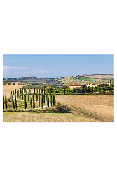 StoryGift Romania Tablou Canvas Aleea De Chiparoi Si Campurile Agricole, Vale...