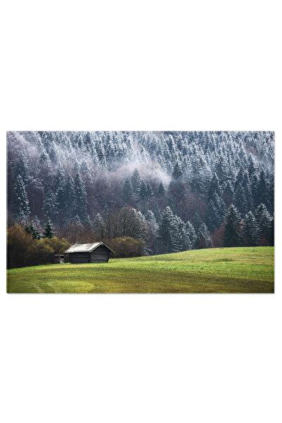 StoryGift Romania Tablou Canvas Cu Vedere La Alpii Bavarezi - Peisaj Feeric L...