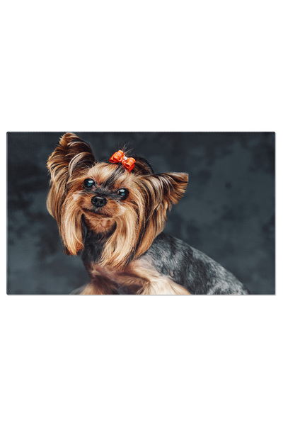 StoryGift Romania Tablou Canvas - Yorkshire Terrier Cu Cravata: Portretul Unu...