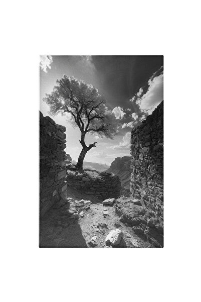 StoryGift Romania Tablou Canvas: Copacul Ce Acoperă Soarele Pereții Vechiului...