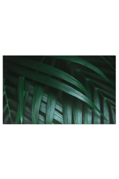 StoryGift Romania Tablou Canvas Model Cu Frunze De Palmier Verde Inchis O Esecenta Creativa A Naturii Si A Design