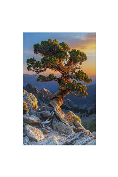 StoryGift Romania Tablou Canvas: Peisaj Arbore În Mijlocul Stâncilor - Măreția Naturii În Frunzele Unui Copac Pi