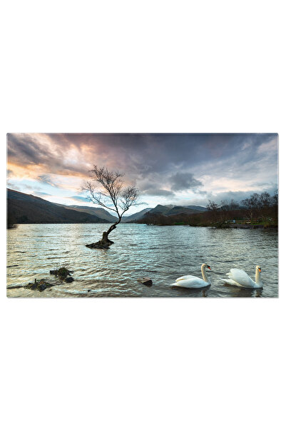 StoryGift Romania Tablou Canvas Lacul Llyn Padarn In Snowdonia, Snowdonia, Lac, Munti, Padure 2798