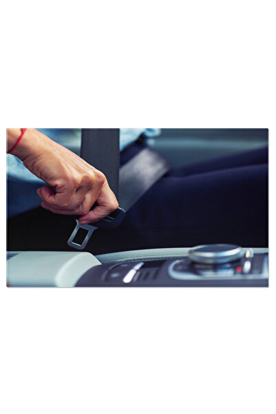 StoryGift Romania Tablou Canvas - Siguranta La Volan: Protejandu-va Pe Drumur...