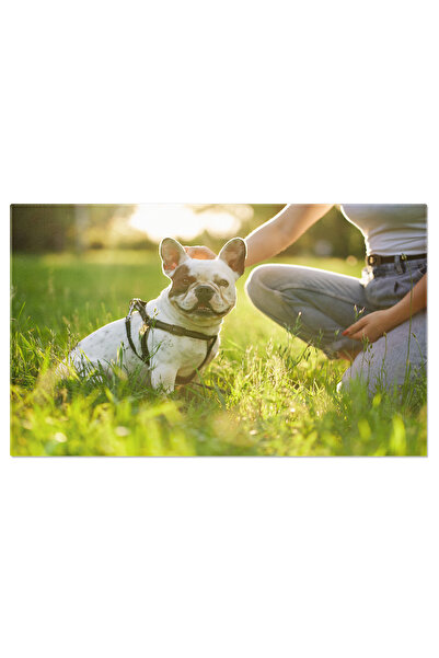StoryGift Romania Tablou Canvas Bulldog Francez Bucurandu-se De Timp Cu Stapa...
