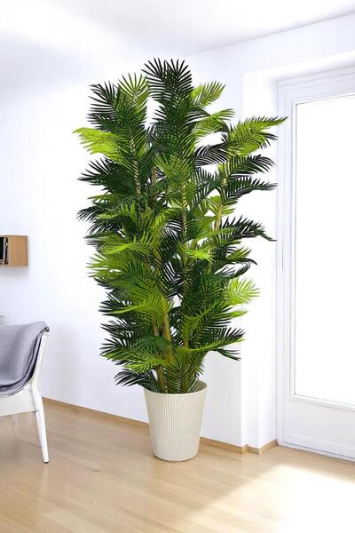 Fupe Shop Yapay Ağaç Palmiye Kalın Bambu 200 Cm Yükseklik Beyaz Saksı