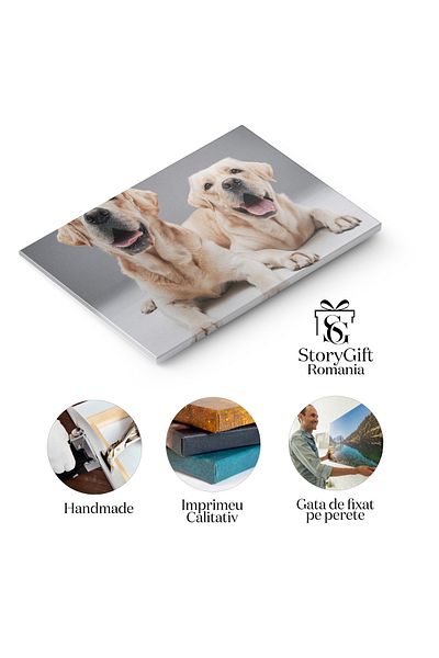 StoryGift Romania Tablou Canvas Labrador Crem - Prietenie Si Relaxare In Familie