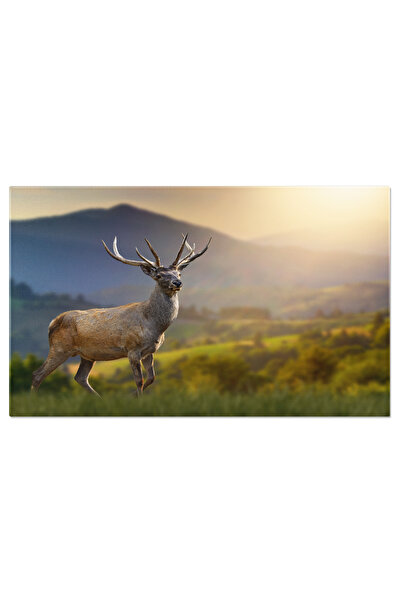 StoryGift Romania Tablou Canvas: Peisaj Montan - Cerb Rosu In Peisajul Natural