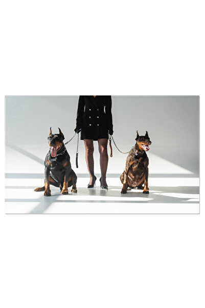 StoryGift Romania Tablou Canvas Eleganta Si Putere Femeie Eleganta Cu Doi Dobermani, Reflectand Grandoarea Si Ref