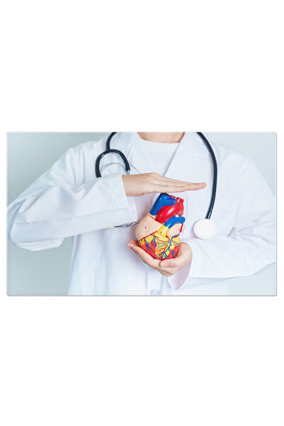 StoryGift Romania Tablou Canvas Medic Cu Model De Inima Umana Cardiologie, In...