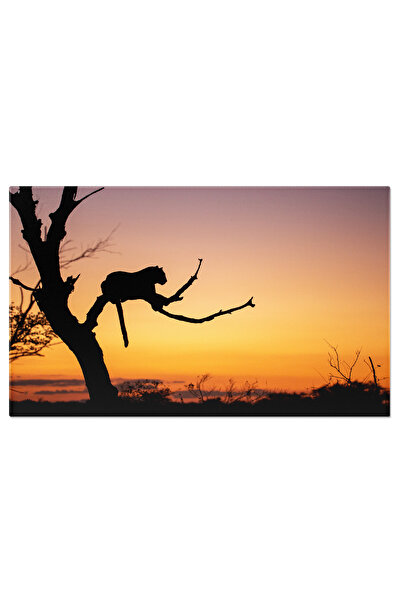 StoryGift Romania Tablou Canvas: Leoparzi La Asfintit - Animale Salbatice, Co...