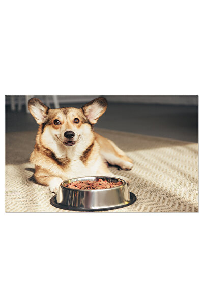 StoryGift Romania Tablou Canvas Corgi Pembroke Relaxandu-se In Pat Cu Laptop ...