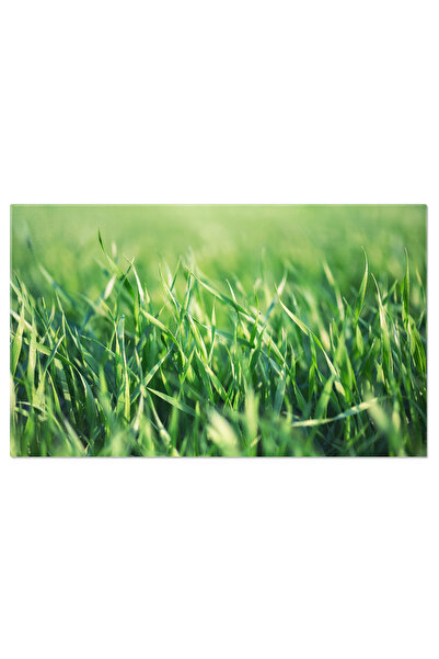 StoryGift Romania Tablou Canvas Compozitie Naturala Ca Fundal, Agricultura, R...