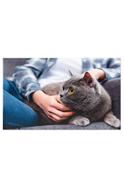 StoryGift Romania Tablou Canvas Femeie Mangaind British Shorthair Animale, Ad...